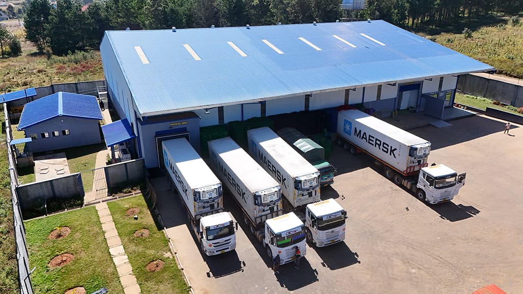 A reefer container being loaded with pallets at the packhouse loading bay